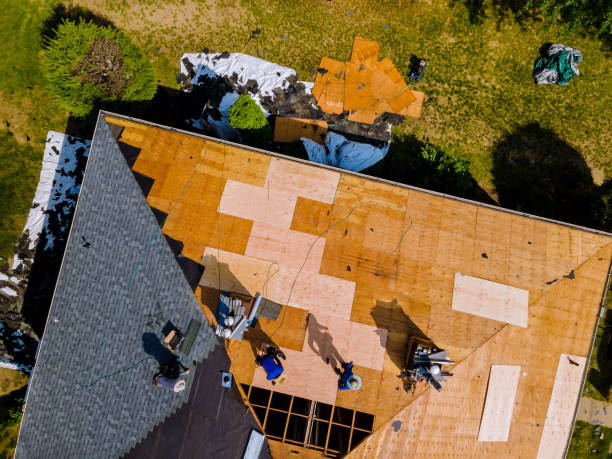 Best Roof Gutter Cleaning  in Alorton, IL