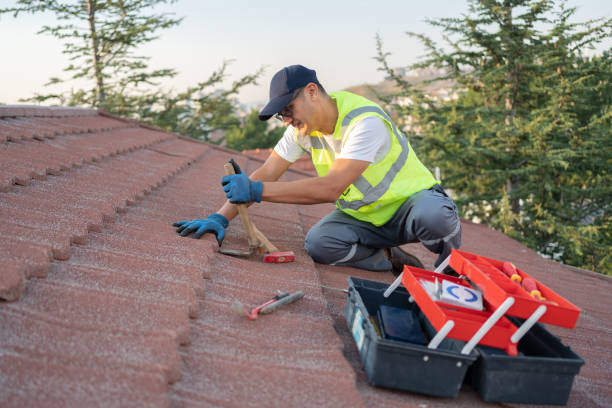 Best Roof Waterproofing Services  in Alorton, IL