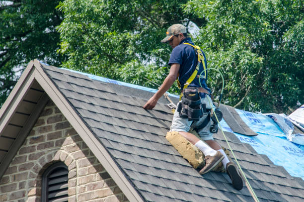 Best Metal Roofing Contractor  in Alorton, IL